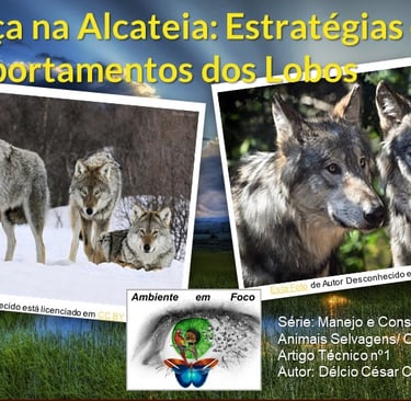 Lobos e seus comportamentos