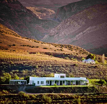 "Vrisch Gewagt Olive Farm near Prince Albert in the Karoo"