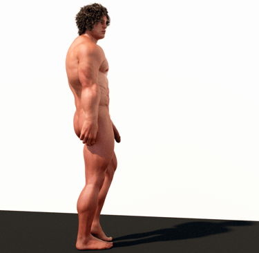 male-gallery-artistic-nude