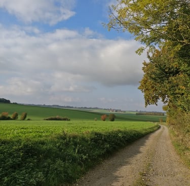 Florence Lemaire chemin vers la sante naturelle