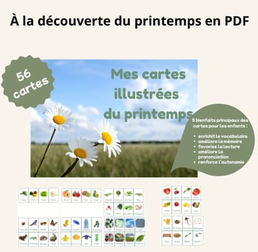carte de vocabulaire illustrées