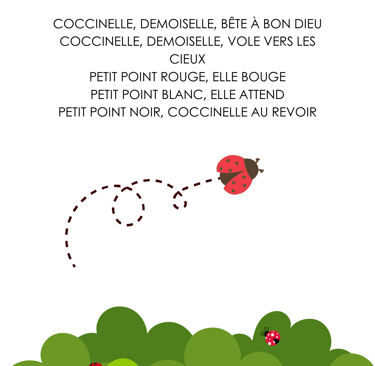 paroles : coccinelle demoiselle