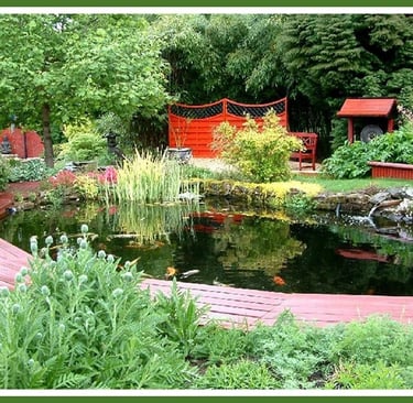 Bassin avec poissons entouré d'1 terrasse bois de bancs et de plantes multicolores