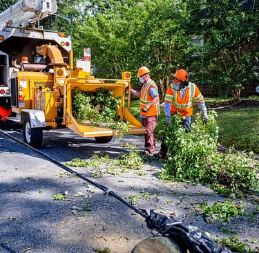 Tree service