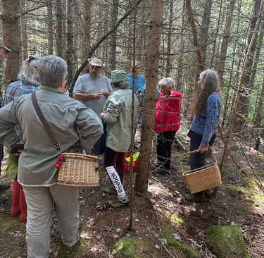Renaud anime une journée mycologique à Sainte Anne du Lac.
