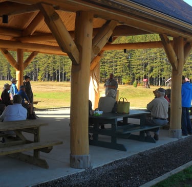 Groupe de cueillette de champignons en montagne sous un abri en bois rond