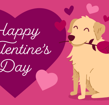 Amazon Valentines Day Gift Card