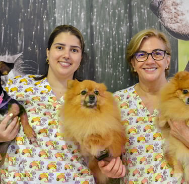 veterinaria em rio preto