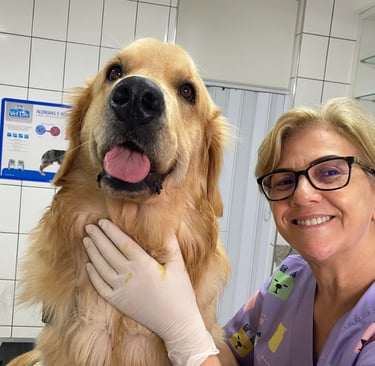 cuidando de cachorro veterinaria