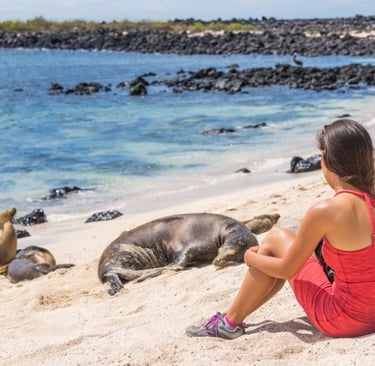 Galápagos Islands, Ecuador