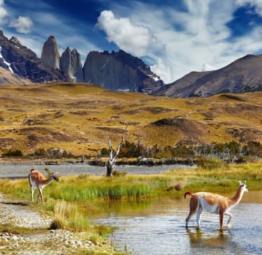 Torres del Paine National Park, Chile