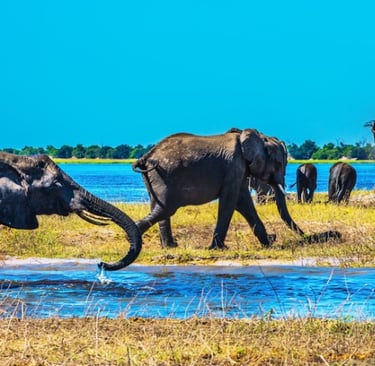 Okavango Delta, Botswana