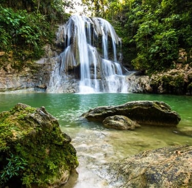 El Yunque National Forest, Puerto Rico