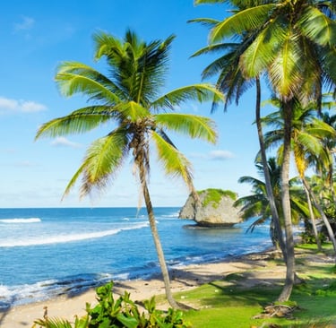 Bathsheba Beach, Barbados