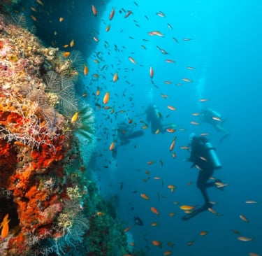 Scuba Diving in Bonaire Marine Park