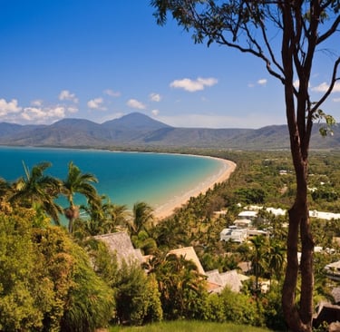 Daintree Rainforest, Queensland