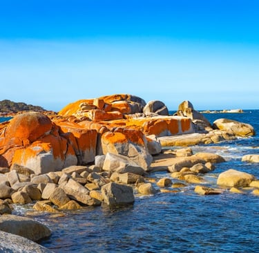 Tasmania’s Wilderness Areas, Tasmania