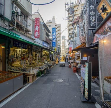 Tsukiji Outer Market