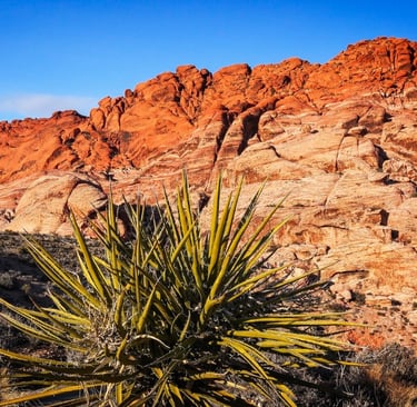 Red Rock Canyon