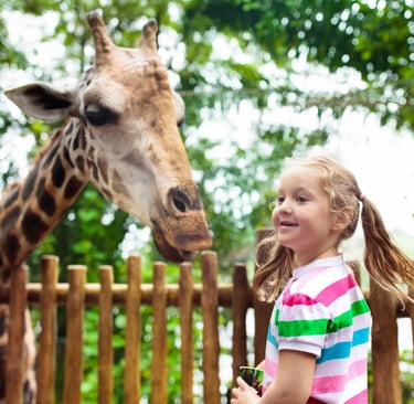 Singapore Zoo and Night Safari