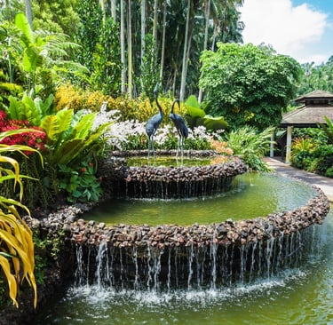 Singapore Botanic Gardens