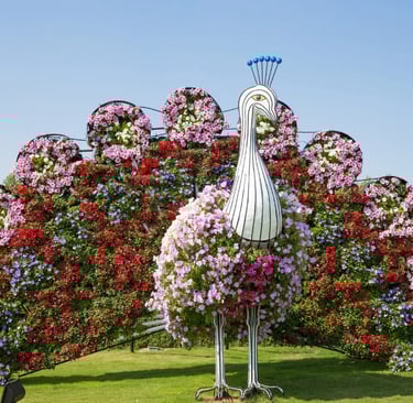 Dubai Miracle Garden