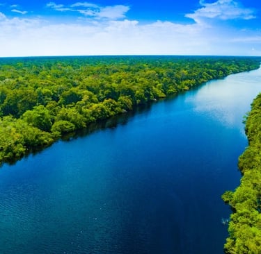 Amazon Rainforest (Iquitos & Tambopata), Peru