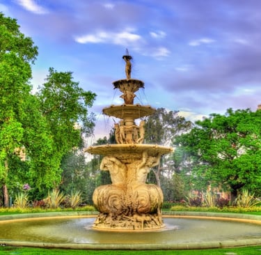 Melbourne Museum & Carlton Gardens