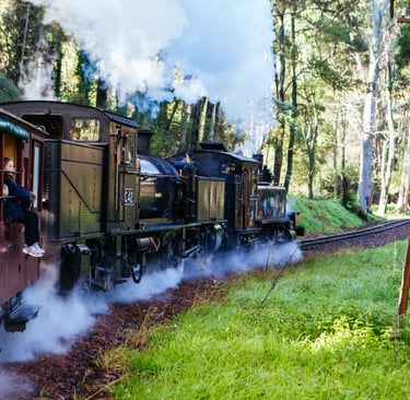 Dandenong Ranges & Puffing Billy Railway, Melbourne