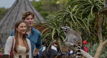Melbourne Zoo