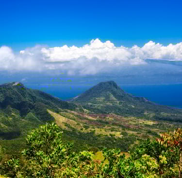 Rangitoto Island, Aucland
