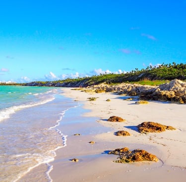 Cayo Coco & Cayo Guillermo, Cuba