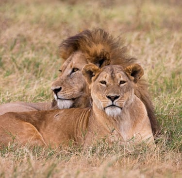 Ngorongoro Crater, Tanzania