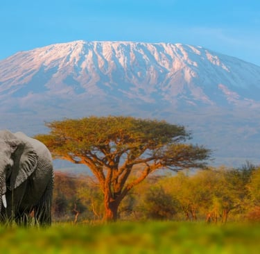 Mount Kilimanjaro, Tanzania