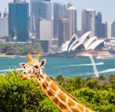 Taronga Zoo, Sydney