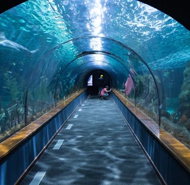 Ripley’s Aquarium of Canada