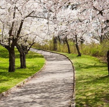 High Park, Toronto