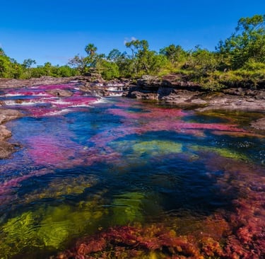 Caño Cristales