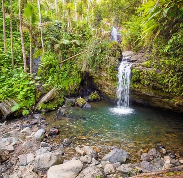 El Yunque National Forest, Puerto Rico