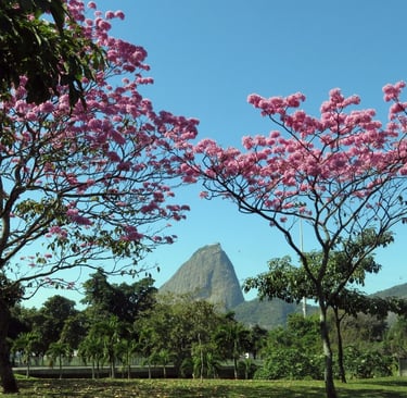 Sugarloaf Mountain (Pão de Açúcar), Rio de Janeiro