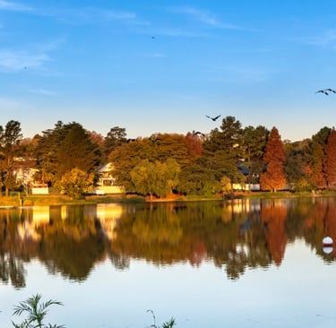 Johannesburg Botanical Gardens and Emmarentia Dam