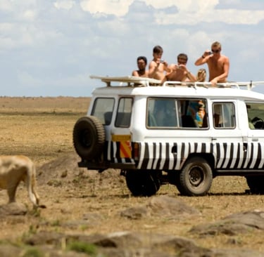 Lion & Safari Park, Johannesburg, South Africa: