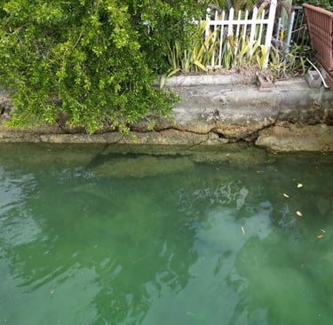 old sea wall repair
