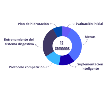 Gráfico de progresión del entrenamiento del sistema digestivo en el Programa NVRR, mostrando fases d