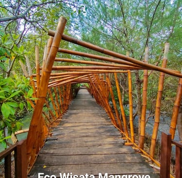 Eco Wisata Mangrove Wonorejo Surabaya
