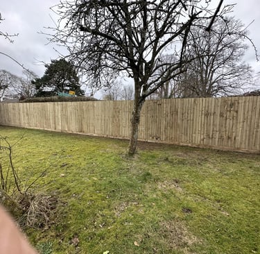 fencing services