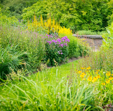 Rain Garden landscaping design Williamsburg VA