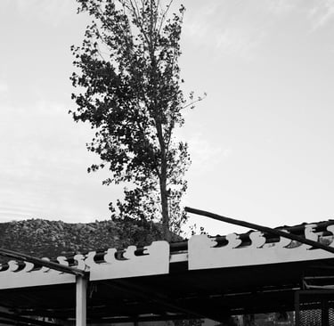 Black and white photo of a tall tree behind a wooden roof structure and mountain hills.