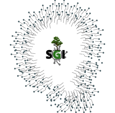 a tree in a circle with a green plant in the middle