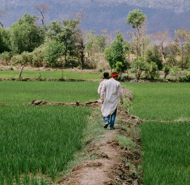 climate-resilient agriculture